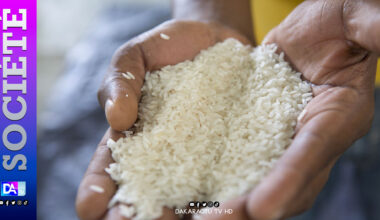 Riz brisé : le gouvernement fixe le prix plafond à 300 francs CFA le Kg
