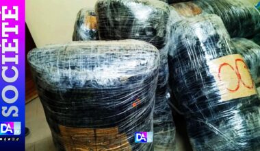 Patrouille de l’Ocrtis à Mbodiène : Près de 200 kilos de yamba saisis…