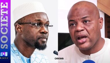 Plainte en cascade, bras de fer judiciaire : Mame Mbaye Niang attaque les avocats de Sonko et rallume l’incendie politique