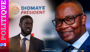 Podor : la coalition Diomaye-Président mise sur Maître Moussa Diop