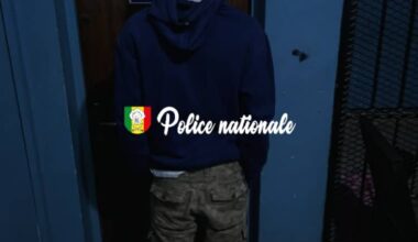 le cerveau d'une bande de malfaiteurs interpellé par la police – ACTUSEN