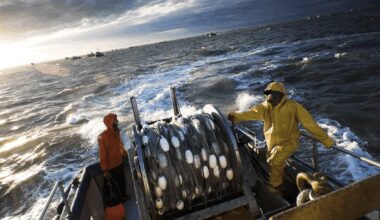 Accord de pêche UE–Maroc : Bruxelles enclenche un nouveau cycle de négociations