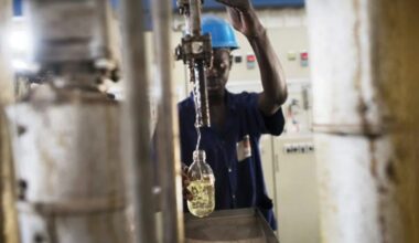 Sendou : une raffinerie de 60 milliards FCFA pour renforcer la production d’huiles alimentaires, bientôt inaugurée