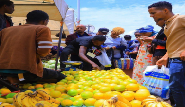 Stabilizing Food Prices in a Time of Global Uncertainty: Lessons from Addis Ababa - ENA English