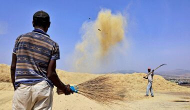 Ethiopian Airlines beginnt mit Bau von Afrikas größtem Flughafen - Äthiopien