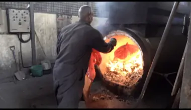 Race to sustainability: Kenya’s steps to implementing the Bamako Convention