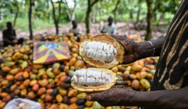 Nigeria's Non-Oil Trade Export Surges By 21% • Channels Television