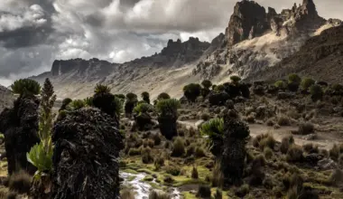 KWS recovers body of tour guide who disappeared while trekking on Mt Kenya