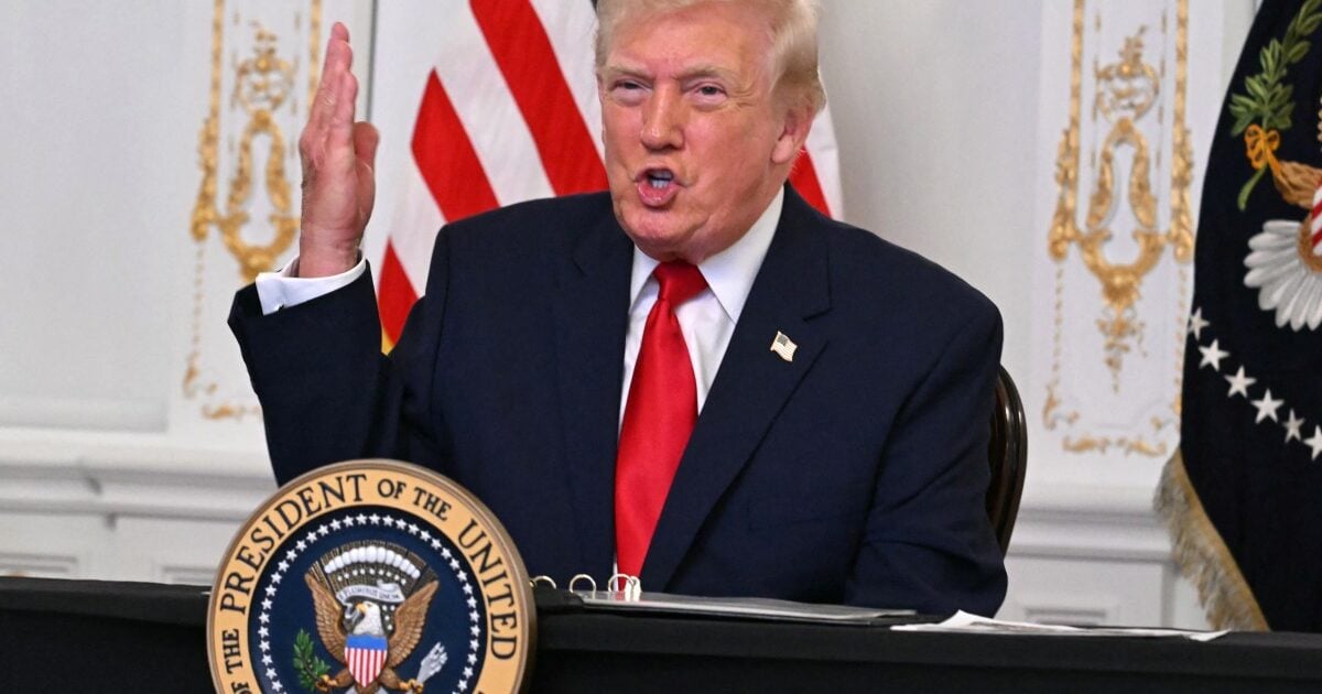 Nigerians Self-Deport Amid Trump’s Deadly ICE Raids