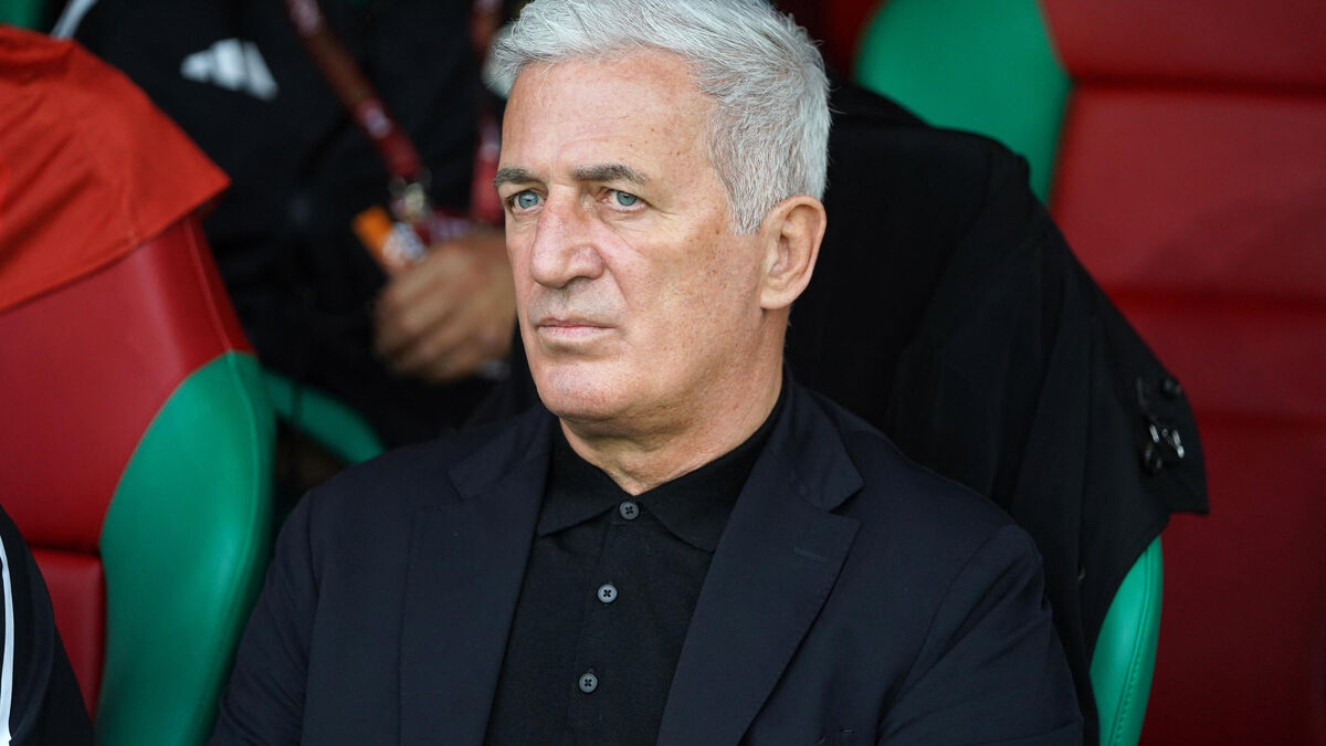 CAN 2025 : Petkovic, Faé, Regragui… Qui sont les sélectionneurs les mieux payés d’Afrique ?