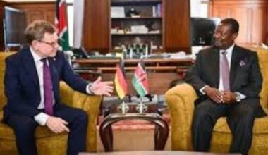 Germany, Kenya Back UN Amid Trump’s Board Of Peace Concerns – The Whistler Newspaper