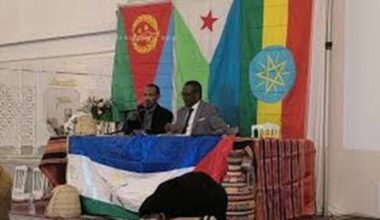 Afar Diaspora Conference Brussles _ Djibouti