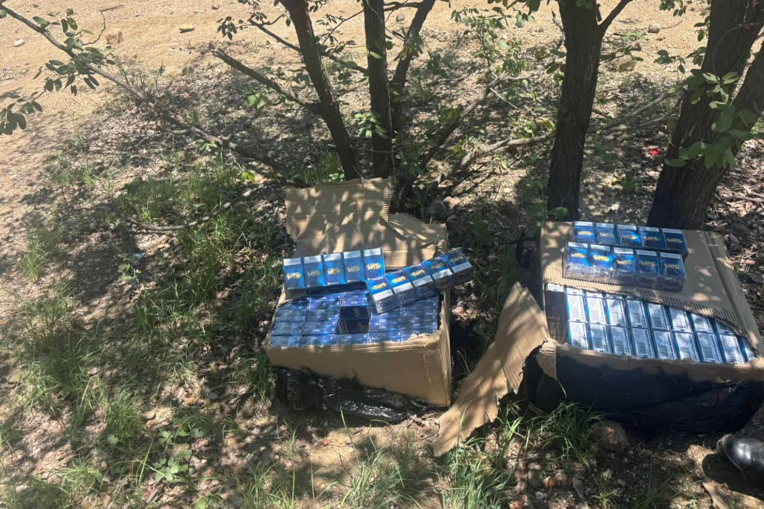 BMA intercepts cigarette smuggling operate at Beitbridge border