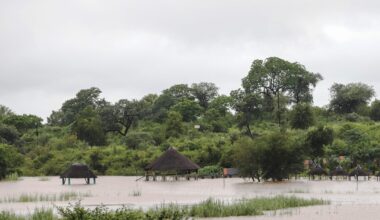"Nous sommes maintenant sains et saufs" : plusieurs Belges bloqués en Afrique du Sud suite à de terribles inondations
