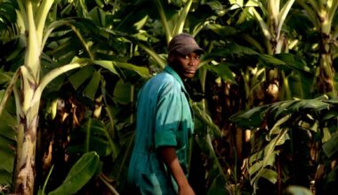 "Broken promises": Jono Terry investigates a 'colonial hangover' at Lake Kariba, Zimbabwe