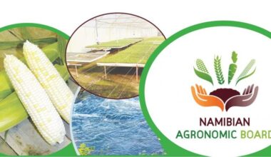 Namibia : agriculture posts a surplus of about $8.0 million