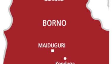 Scores dead as terrorists with machine guns launch attacks on Borno military base