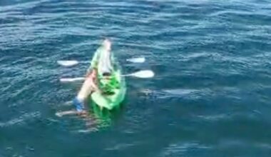 Sunrise paddle turns into brush with sharks for teens near East London