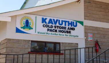 COLD STORES AND PACK HOUSES UNLOCK NEW VALUE FOR FARMERS THIS MANGO SEASON