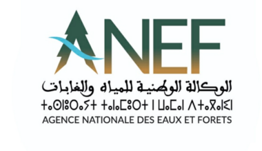 l’ANEF appelle au respect du repos biologique