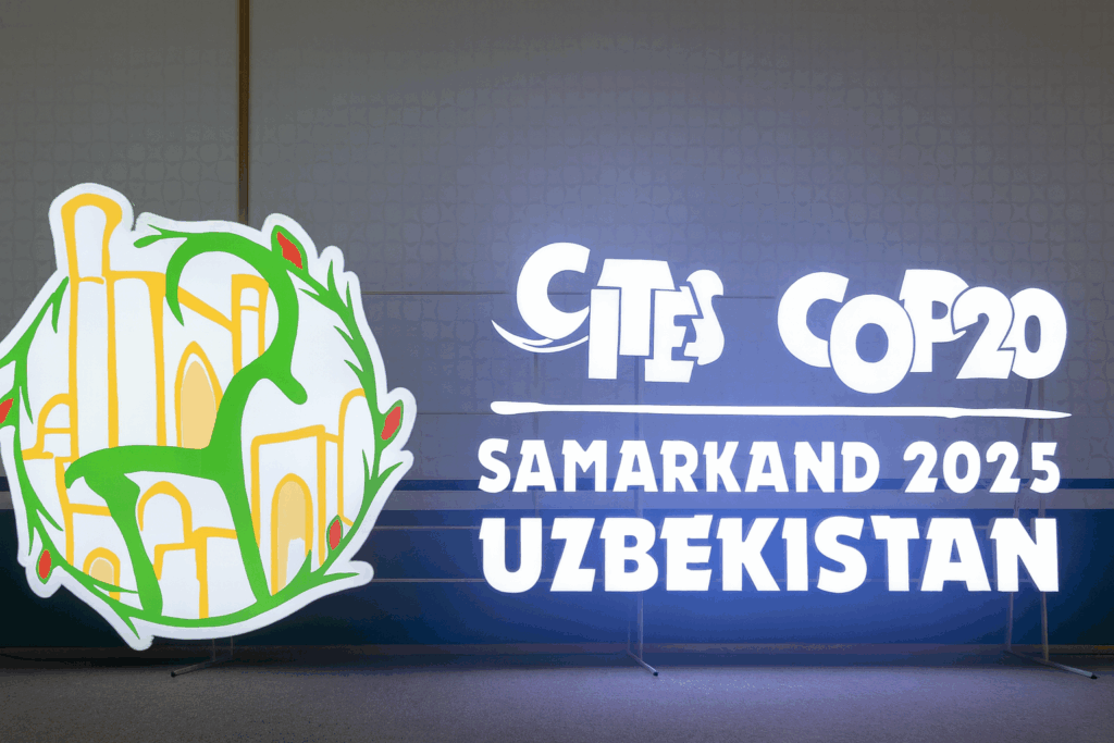 Update on Namibia's Proposals on Rhino Horn