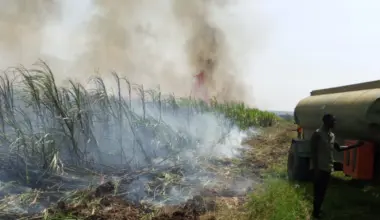 Arsonists set Chemelil’s sugarcane plantations on fire