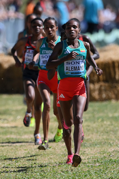 Kenya’s Dynasty Faces a Challenge as Tallahassee Prepares to Crown a New Queen