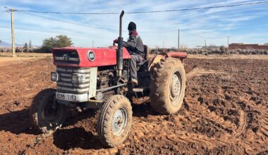 Pluie et neige, un tournant pour la campagne agricole à Oujda-Angad