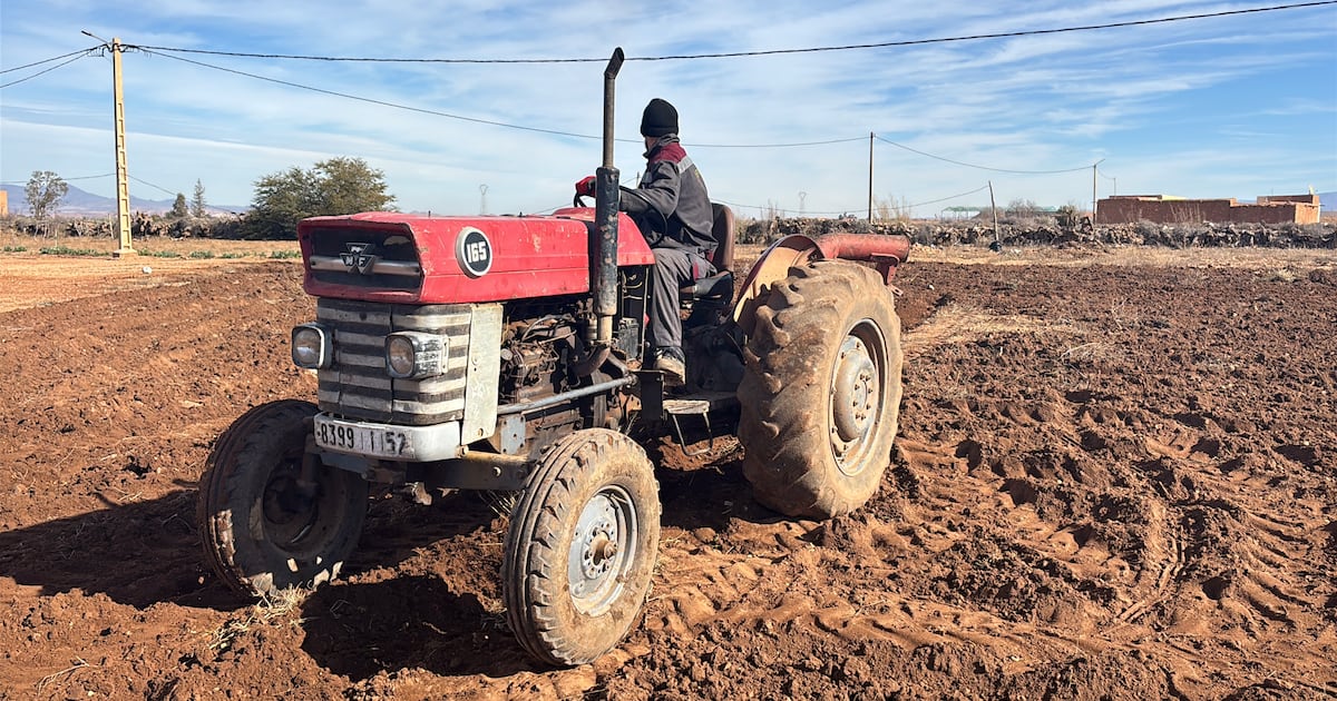 Pluie et neige, un tournant pour la campagne agricole à Oujda-Angad