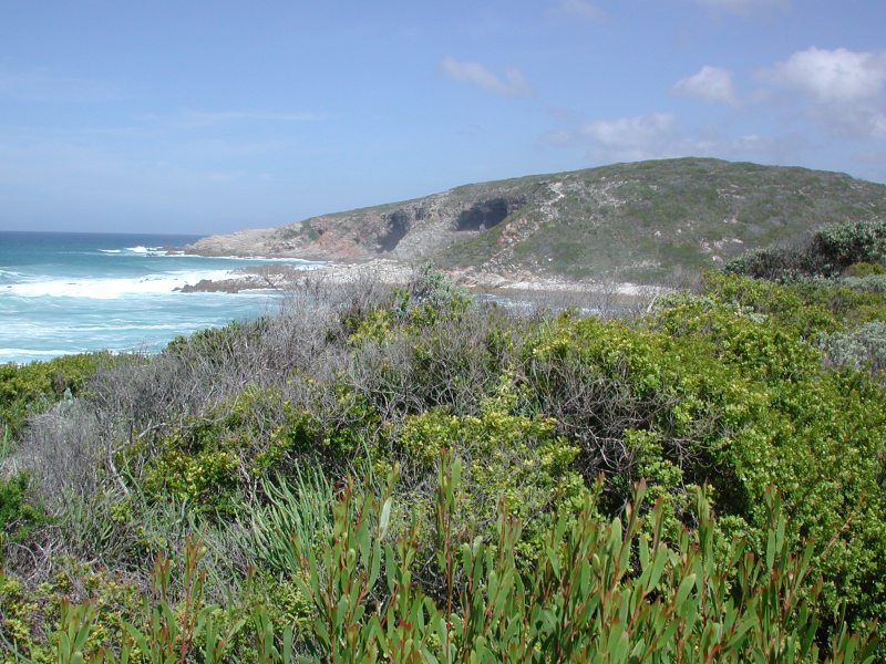 Dynamique des écosystèmes et innovation culturelle au cours de l’âge de pierre moyen en Afrique australe