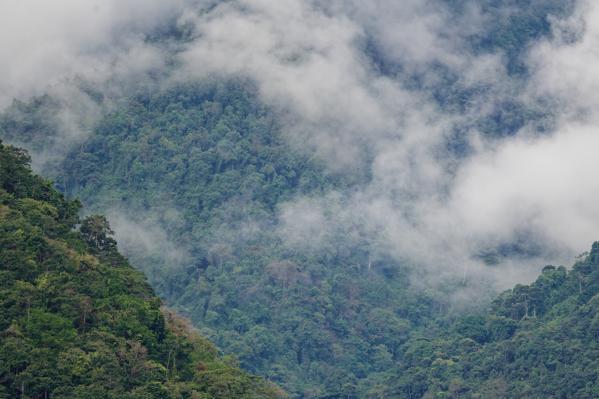 The Mahale Mountains.
