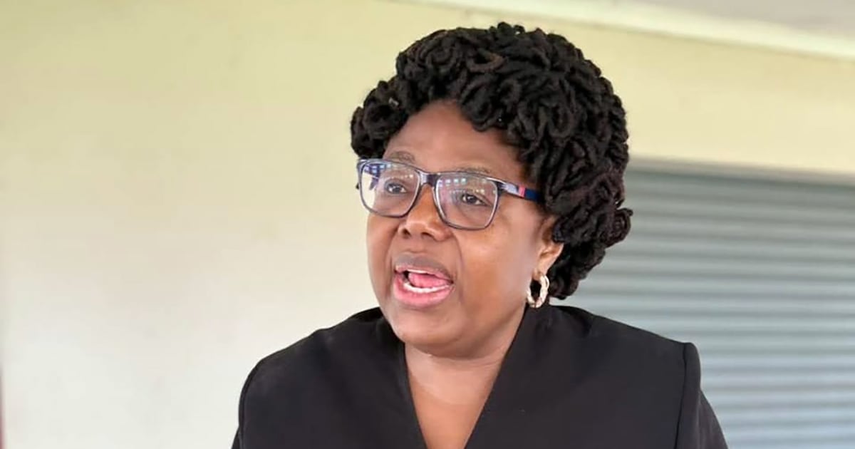 Mpumalanga HOD returns after R1.9m laptop saga