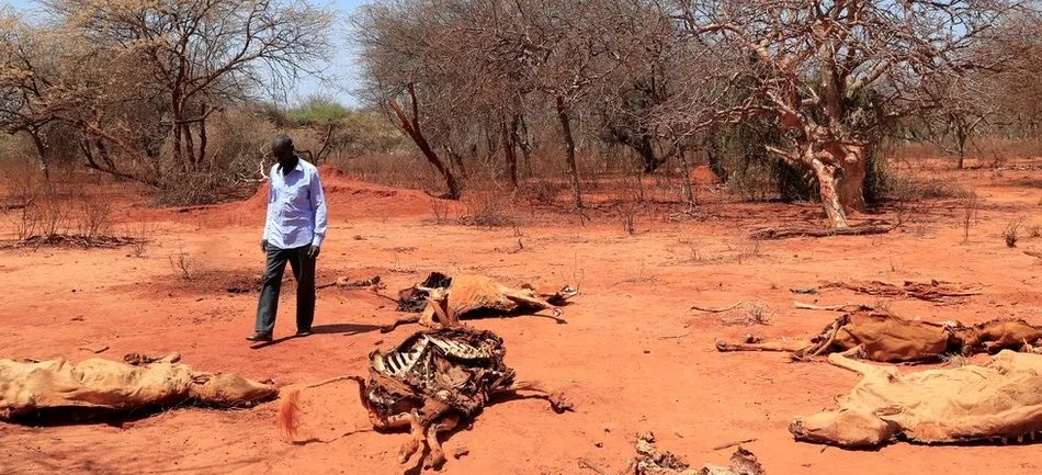 ICPAC warns of rising food insecurity across Kenya, Uganda, Somalia and Tanzania amid severe drought