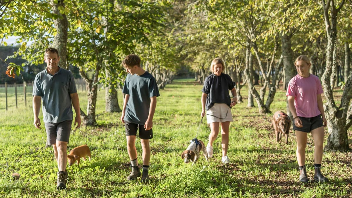 Year in Review: From Zimbabwe to Bay of Plenty - family builds future on truffle farm