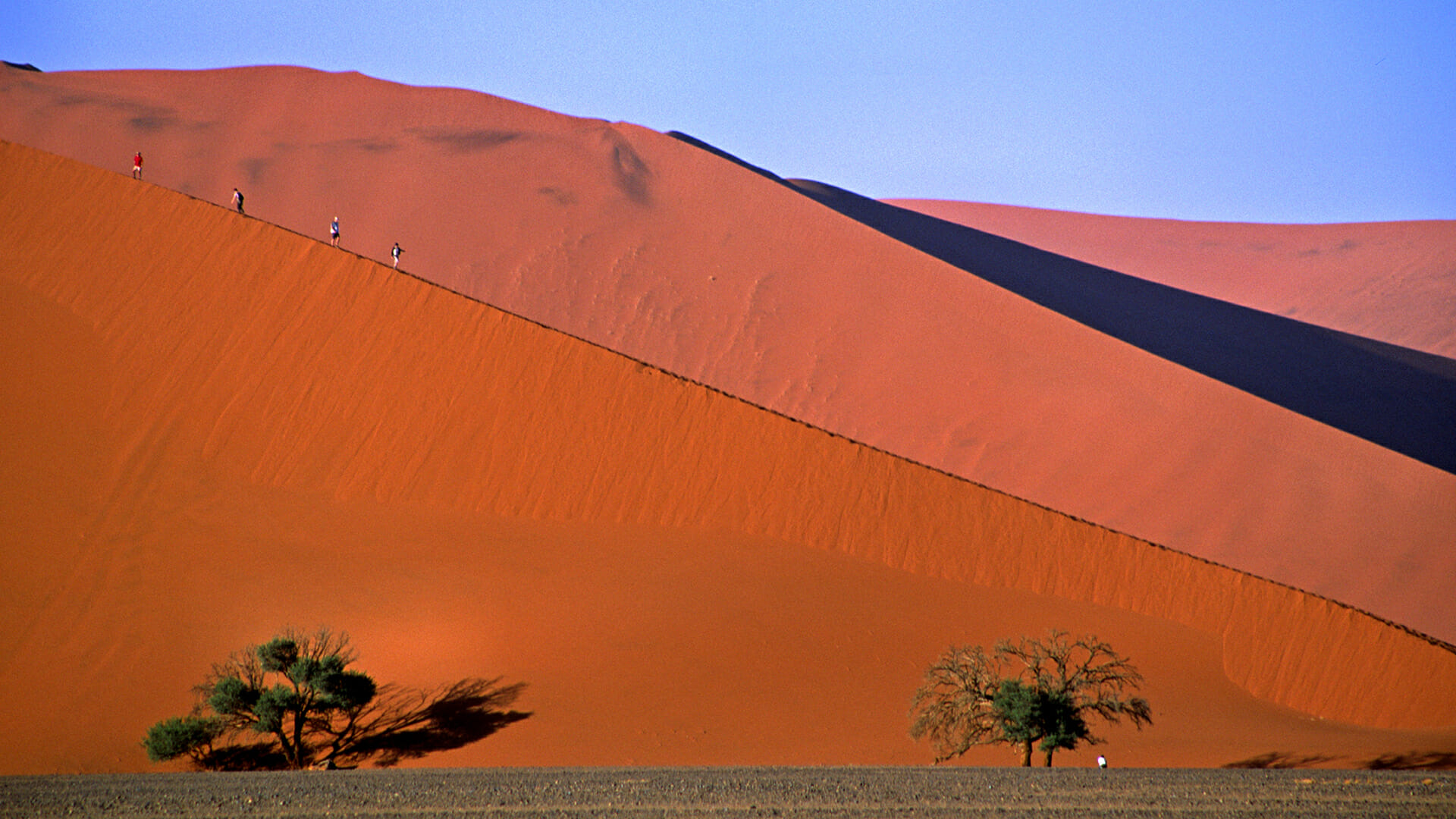 namibia sand dunes