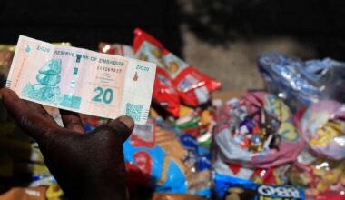 Zimbabwe says gold-backed currency stable but investor doubts persist