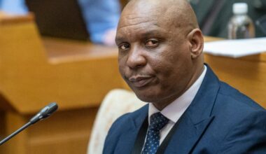 ‘Liar and greedy’: McBride slams Nkabinde’s testimony