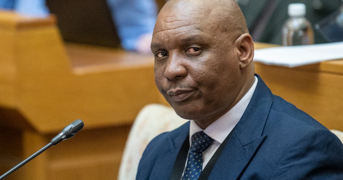 ‘Liar and greedy’: McBride slams Nkabinde’s testimony