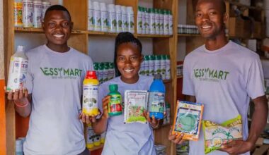 Uganda’s Essymart is providing smallholder farmers with a full suite of tech products to boost profits