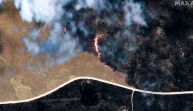 Namibia projects tourism decline after wildfire in game reserve