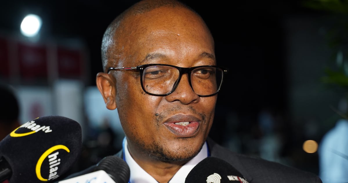 Trade minister Parks Tau welcomes US House approval of Agoa renewal