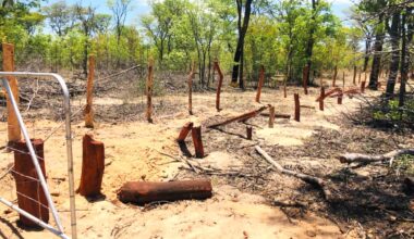 22 Okongo illegal fences on chopping block …196 reported, 126 investigated – New Era