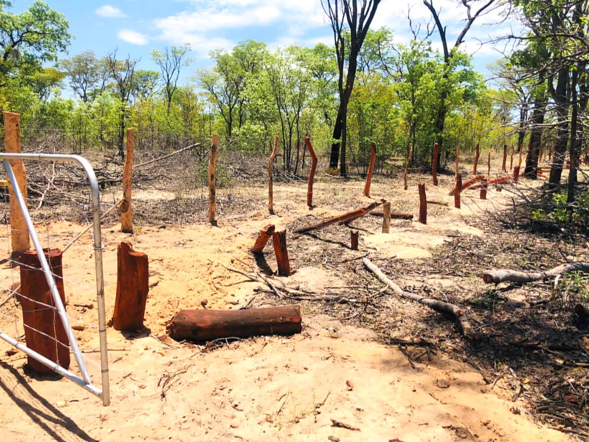 22 Okongo illegal fences on chopping block …196 reported, 126 investigated – New Era