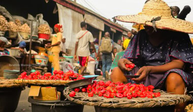 The true cost of 'cheap food': Toxic exposure, cancer and Nigeria’s development trap