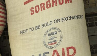 USDA eyes $452 million in Food for Peace purchases by March