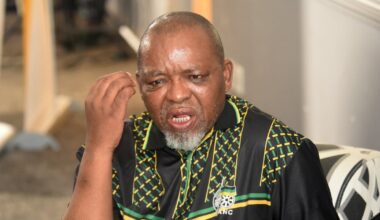 ‘Don’t bask in the sun — apply for jobs’: Gwede Mantashe