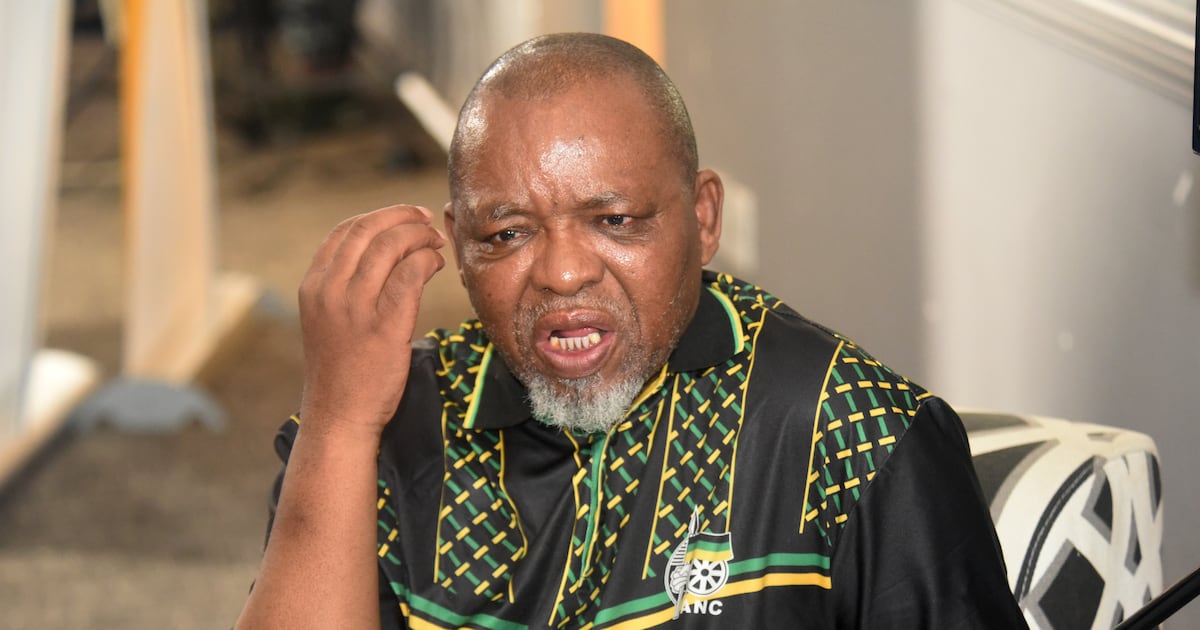 ‘Don’t bask in the sun — apply for jobs’: Gwede Mantashe