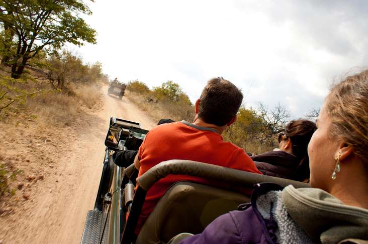 On safari with G Adventures