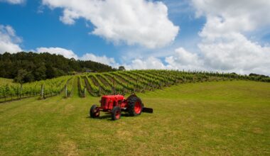 Wines of the Year 2025: Australia, New Zealand & South Africa