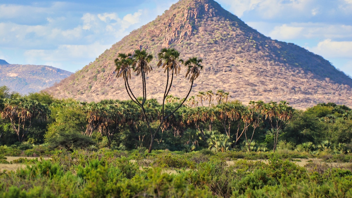 Five ways to discover Samburu, Kenya's wild north